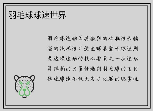 羽毛球球速世界