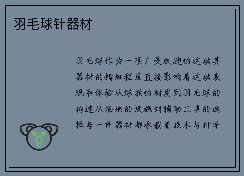 羽毛球针器材
